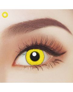 Yellow - Crazy Lens - 1 Year (11004IN)