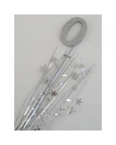 0 Number Silver Spray / Pick Onion (207007A)