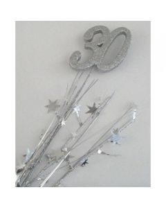 30 Number Silver Star Spray / Pick Onion (207033A)