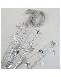 70 Number Silver Star Spray / Pick Onion (207041A)