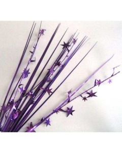 Purple Star Spray / Pick Onion (207205A)