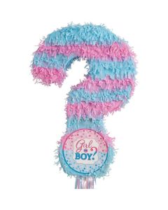 Gender Reveal Pinata (33535.56AM)