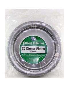 Dinner Plate - Silver - 230mm Pack 25 (382119A)