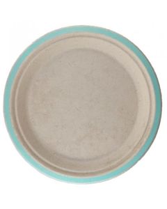 Sugarcane Lunch Plates 230mm Mint - 10 Pack - (400215A)