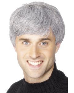 Corporate Mens Grey Wig (SM42209)