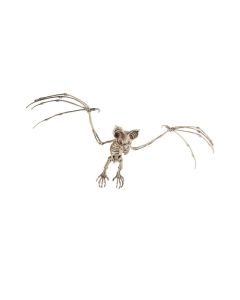 Bat Skeleton Decoration (SM46912)