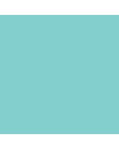 Teal Napkin - Pack 20 (E6872)