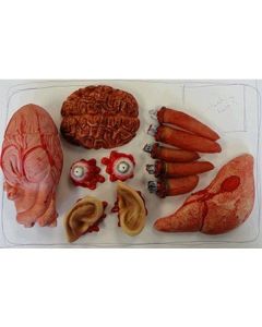 Meat Market Value Pack (673403AM)