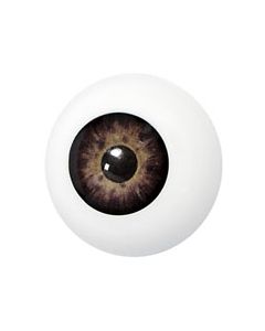 Artificial Eye 27mm - Colour 1001 (GRIM-Eye-1001)