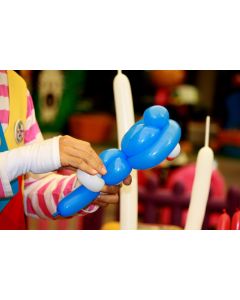 Balloon Modelling Sunday