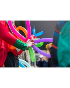 Balloon Modelling Public Holiday