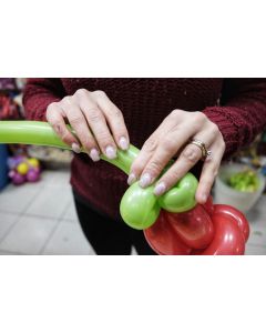 Balloon Modelling Monday to Saturday