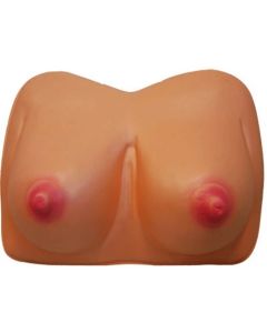 Boobs with Chest (BB25780)