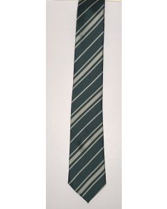 Harry Potter School Tie - Slytherin (CB1853)