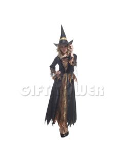 Noble Witch Adult Costume (W-0042) (CB8802) 