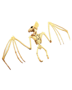 Skeleton Flying Bat (CR8519)