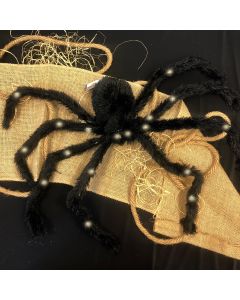 Charlotte - Light Up Large Posible Spider (CR9241)