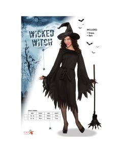 Wicked Witch Adult Costume (D21017G)