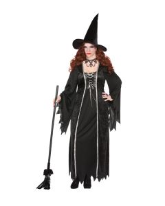 Dark Witch Adult Costume (D21071G)
