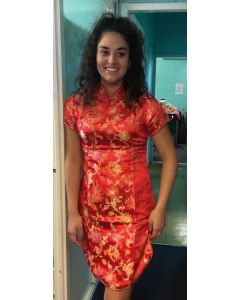 Chinese Female - Adult Costume (China Doll) (DUCDD)