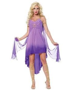 Jade Goddess Adult Costume (FRA48544)
