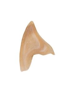 Latex Pointed Ears - Colour 605 (GRIM-Ear-605)