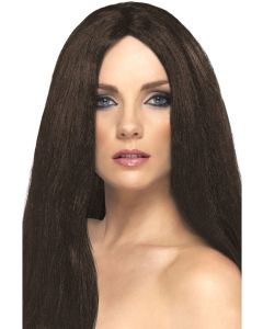 Long Straight Star Style Wig - Brown (SM42284)
