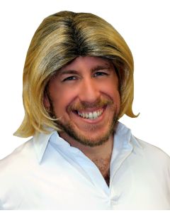 Deluxe 70s Surfer Dude Wig (WI74384)