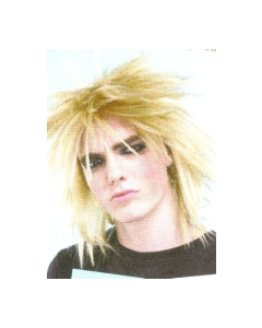 Gothic Rock Star - Blond (WIGGRSBLOND)