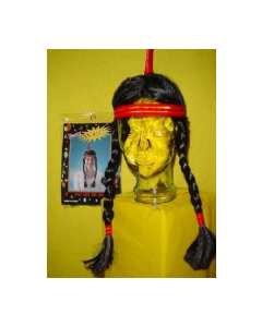 Indian with Plaits Wig (WIGINDIAN)