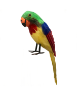 Ava The Pirate Parrot (CA0101)