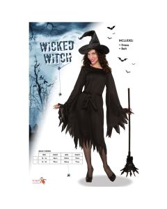 Wicked Witch Adults Costume (D21017G)