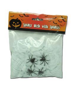 Spider Web with Spiders (HW2010)
